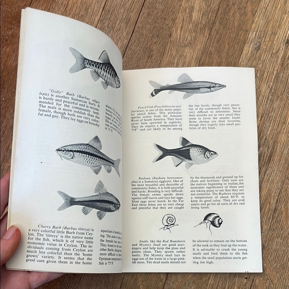 Tropical Fish Guide by Herbert R. Axelrod - Picture 9 of 11